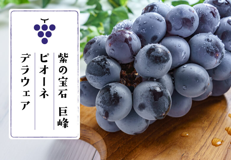 パラグラフ画像
