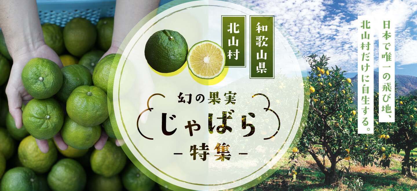 特集バナー