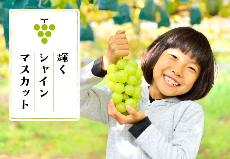 パラグラフ画像
