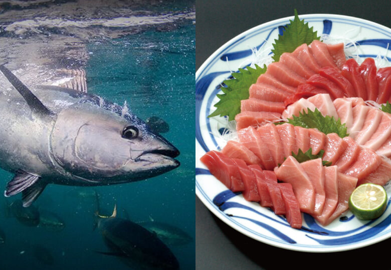 パラグラフ画像