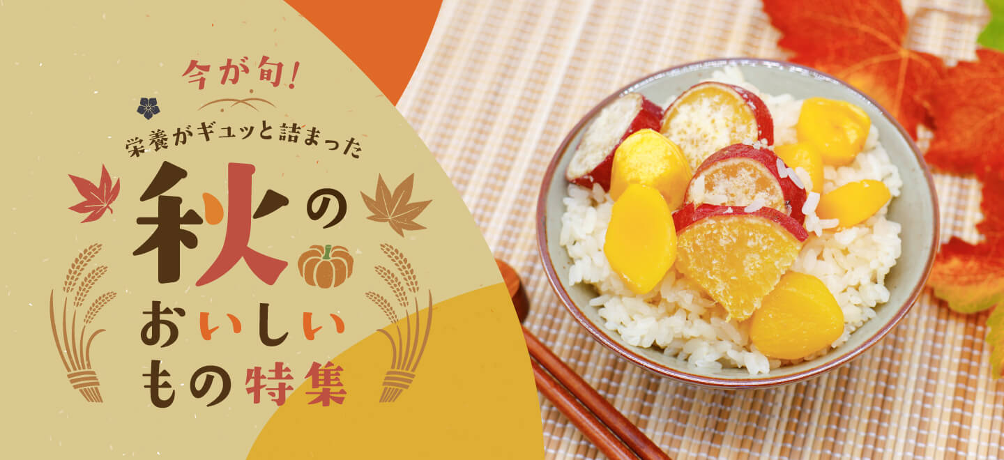 特集バナー