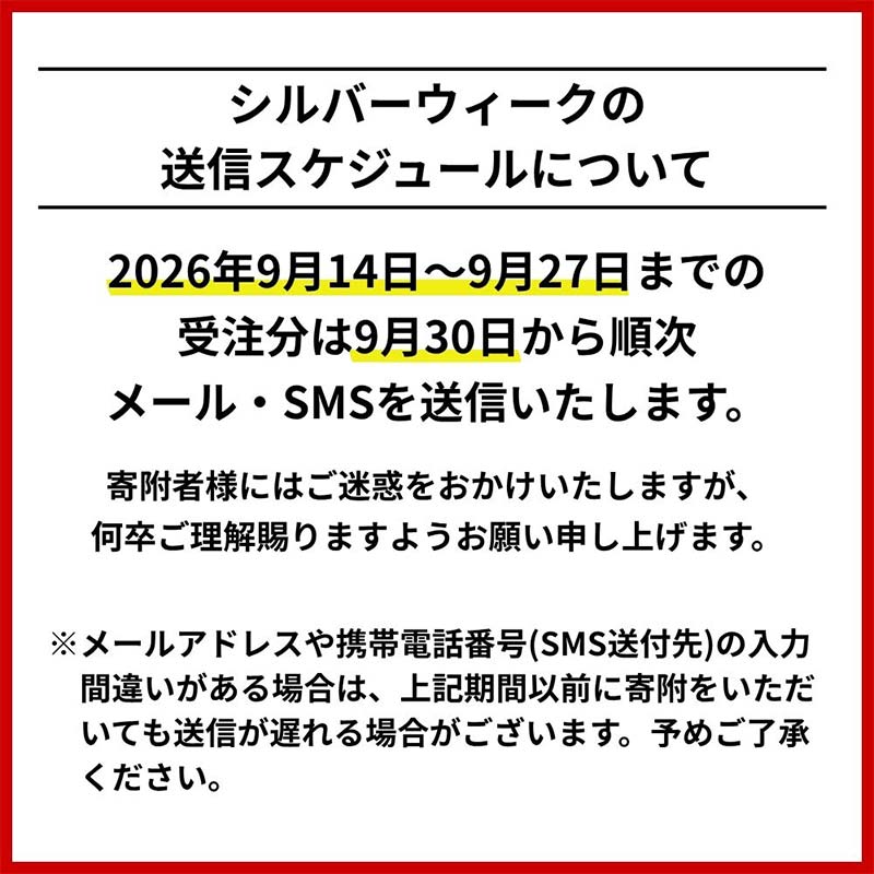 北海道 日本旅行 地域限定旅行クーポン30,000円分(Eメール発行) チケット 旅行 宿泊券 ホテル 観光 旅行 旅行券 交通費 体験  宿泊 夏休み 冬休み  F6S-342