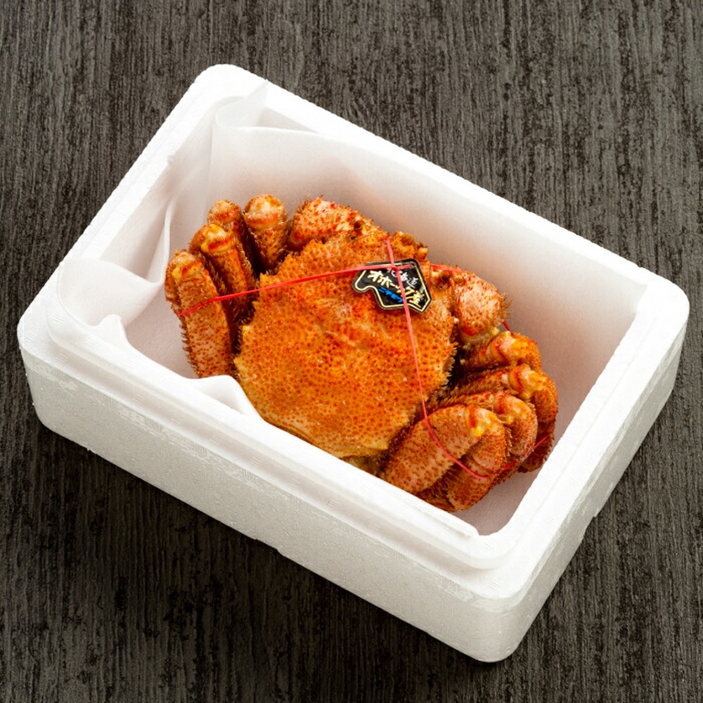 23-88 【訳あり】超特大_北海道産毛ガニ　約1kg×1杯
