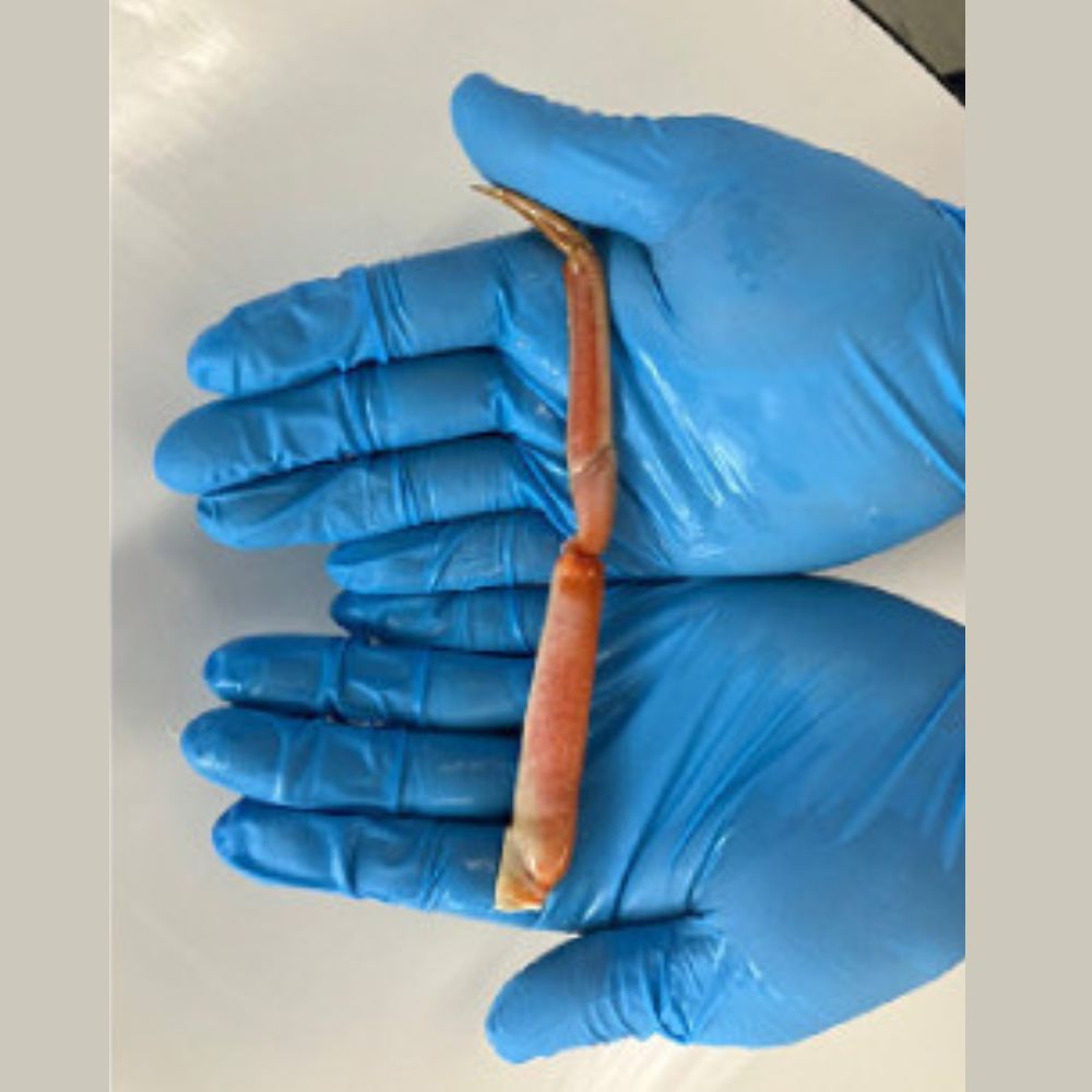 9-46 特盛ボイル本ずわいがに小足 約2kg
