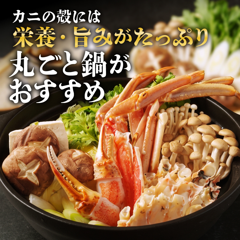 22-158 カニ鍋セット｜生食可ズワイガニ剥き身1.2kg～1.4kg かに鍋 カニすき カニしゃぶ かに刺身 かに カニむき身　紋別市