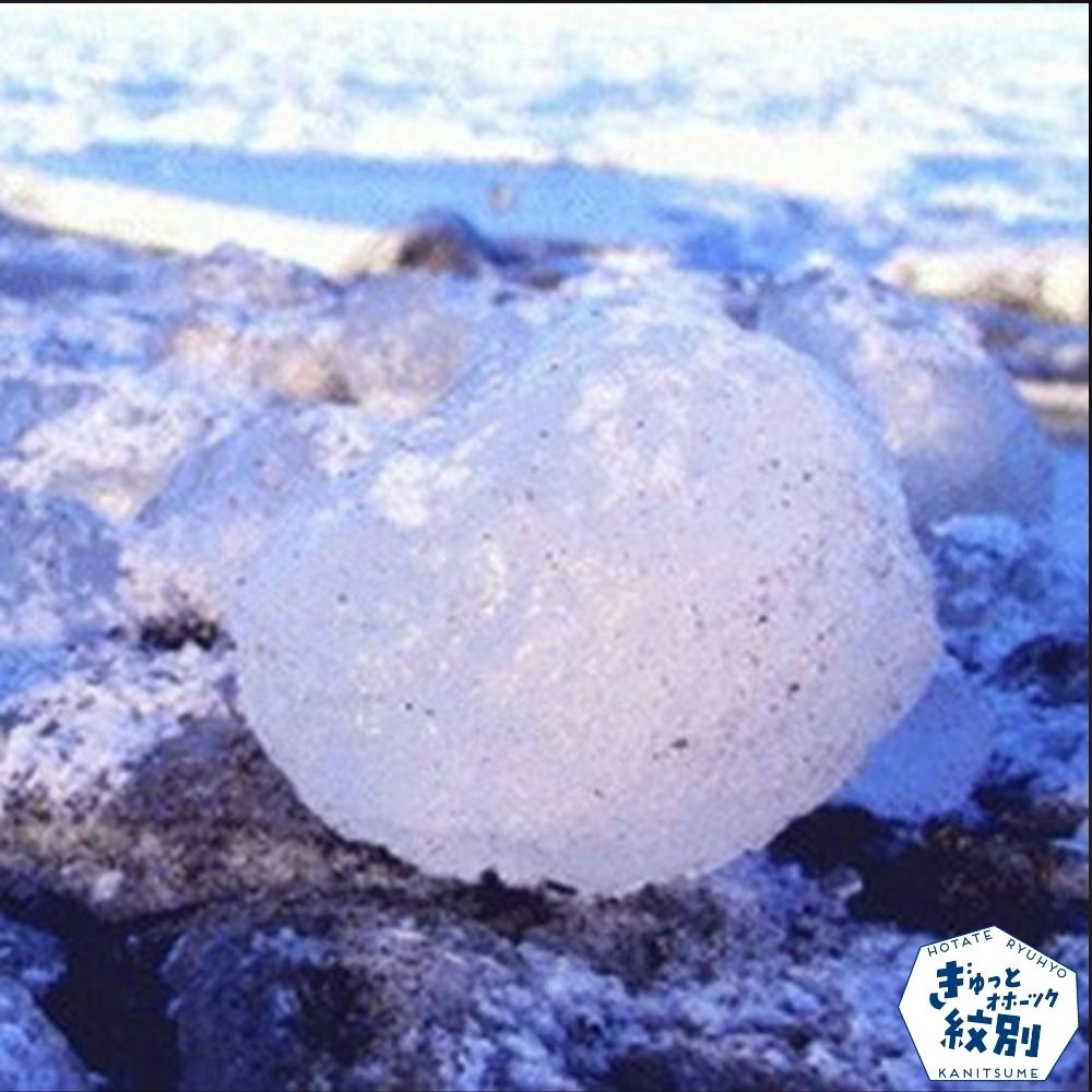 10-1 オホーツク海の流氷(5kg程度)