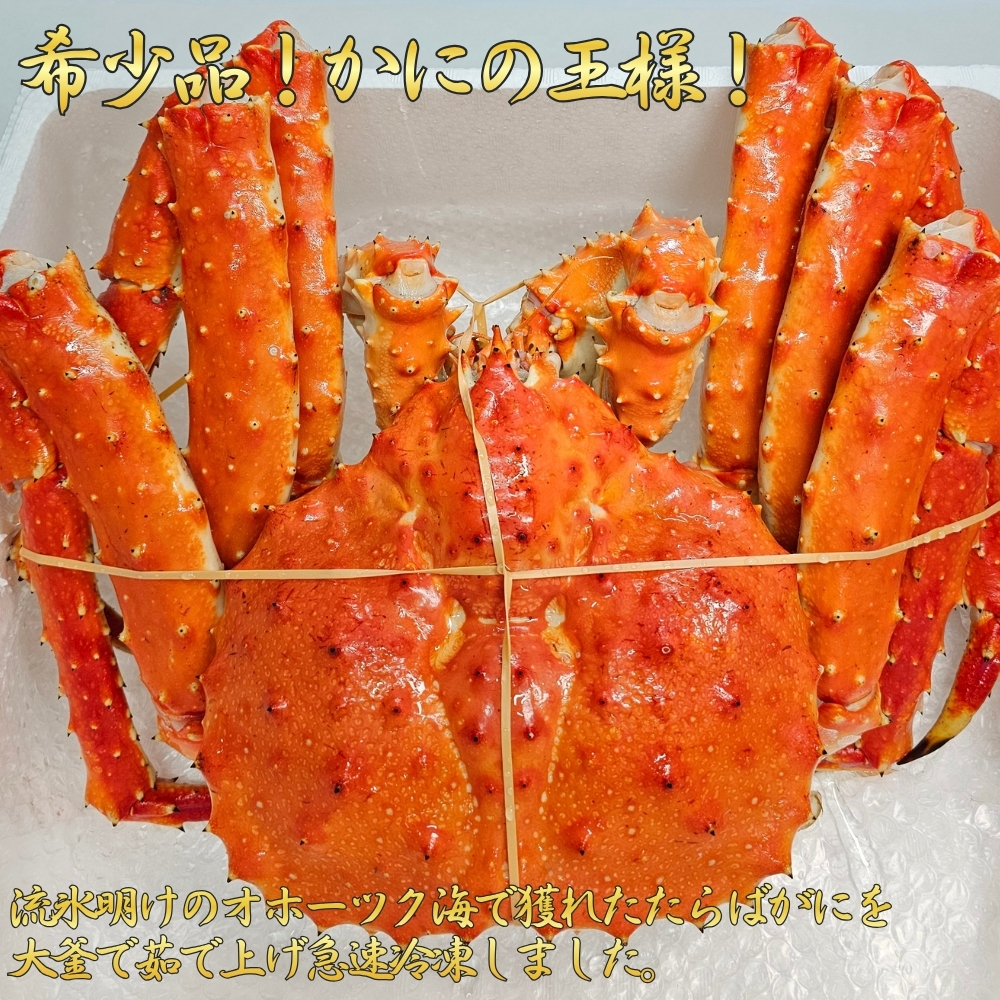104-7 たらばがに姿　3.6kg