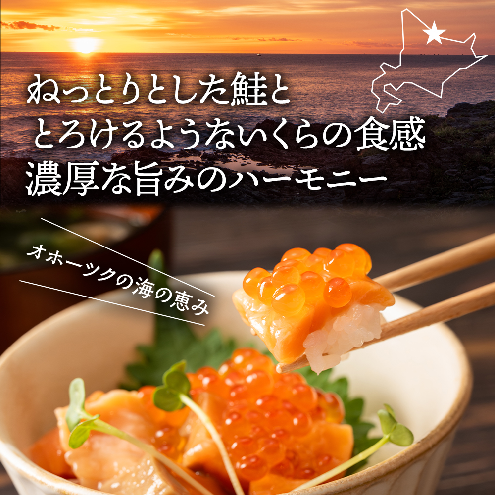 13-360 北海道産鮭親子漬けプレミアム2個セット～いくら増量しました～
