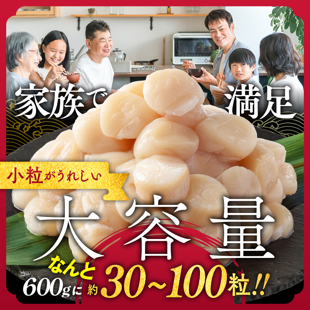 13-399 【訳あり】北海道オホーツク産ホタテ貝柱(生食用)小粒大入 600g ｜ サイズ不揃い ワケアリ 訳あり ほたて ホタテ 帆立 貝柱 玉冷
