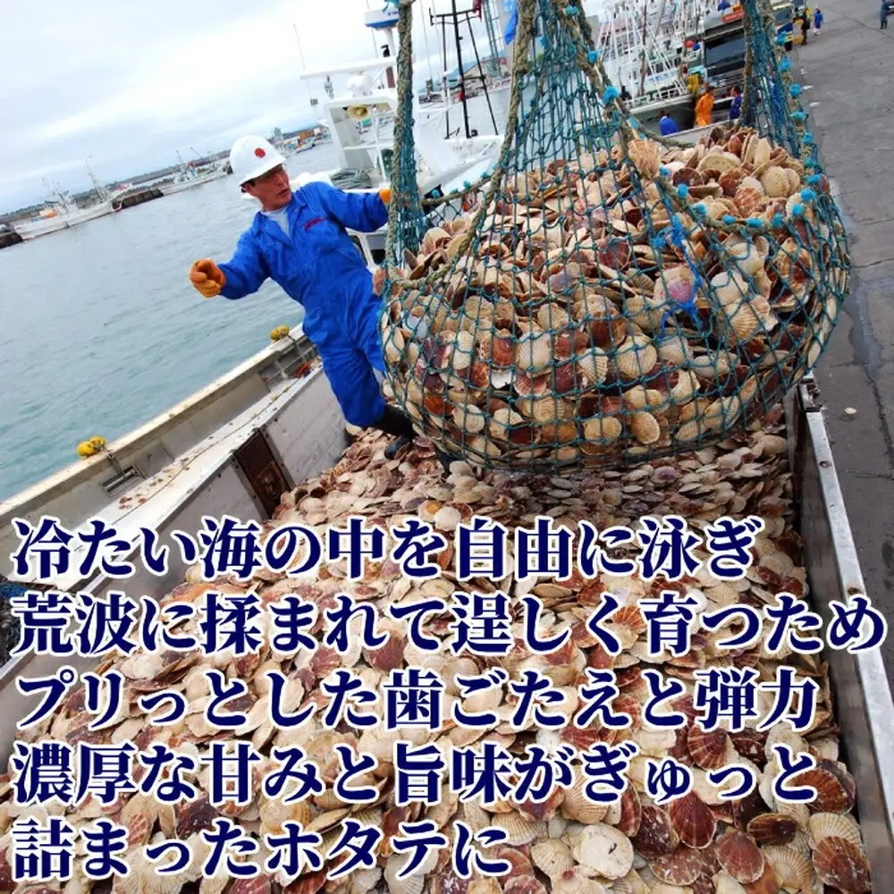 20-330 北海道オホーツク海産ホタテ玉冷バラエティサイズ(1kg)｜ 訳あり サイズ不揃い