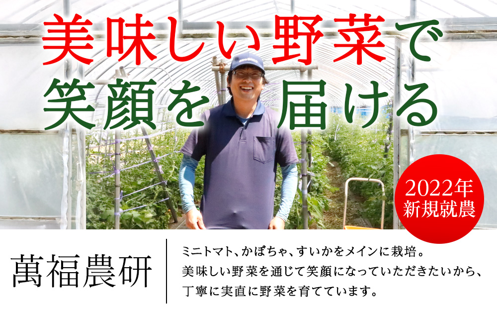 【2026年発送】〈萬福農研〉産地直送！ミニトマト(プレミアムルビー) 1kg