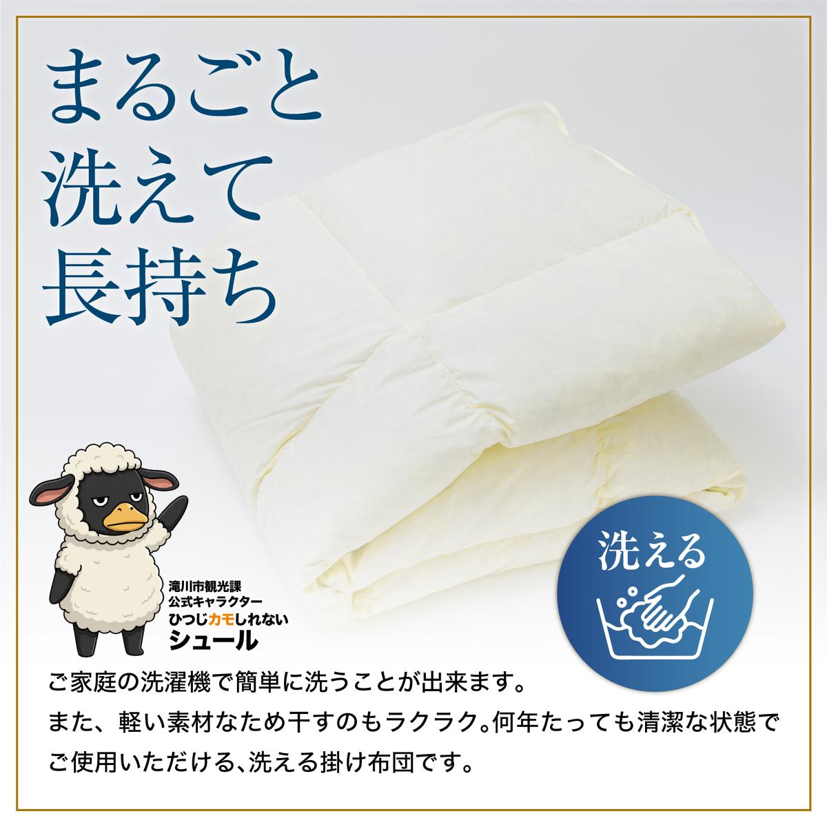 羽毛布団 掛け布団 オールシーズン 洗える ダウン200g増量【クイーン】綿100% 抗菌防臭 完全国内生産 北海道滝川市-