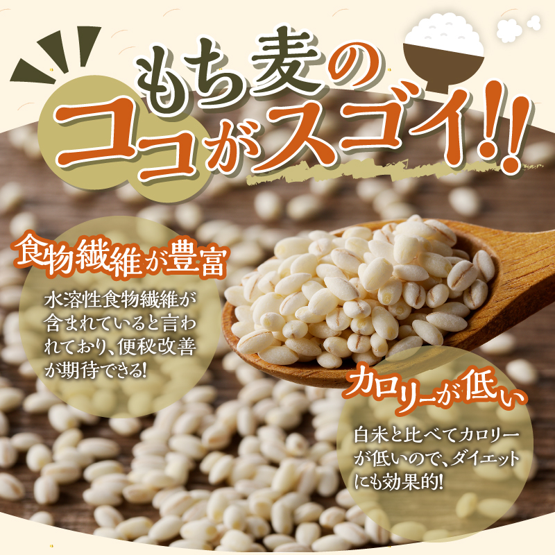 【豊富な食物繊維】もち麦3ヶ月連続お届け-