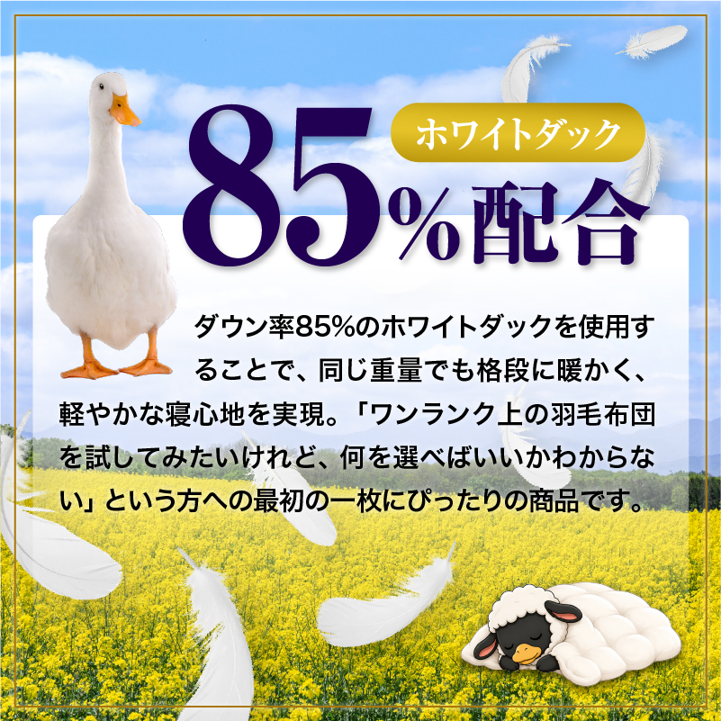 羽毛布団 Royalシリーズ ホワイトダックダウン85% 本掛け 冬用【シングル】360dp以上 ホテル仕様 完全国内生産 北海道滝川市