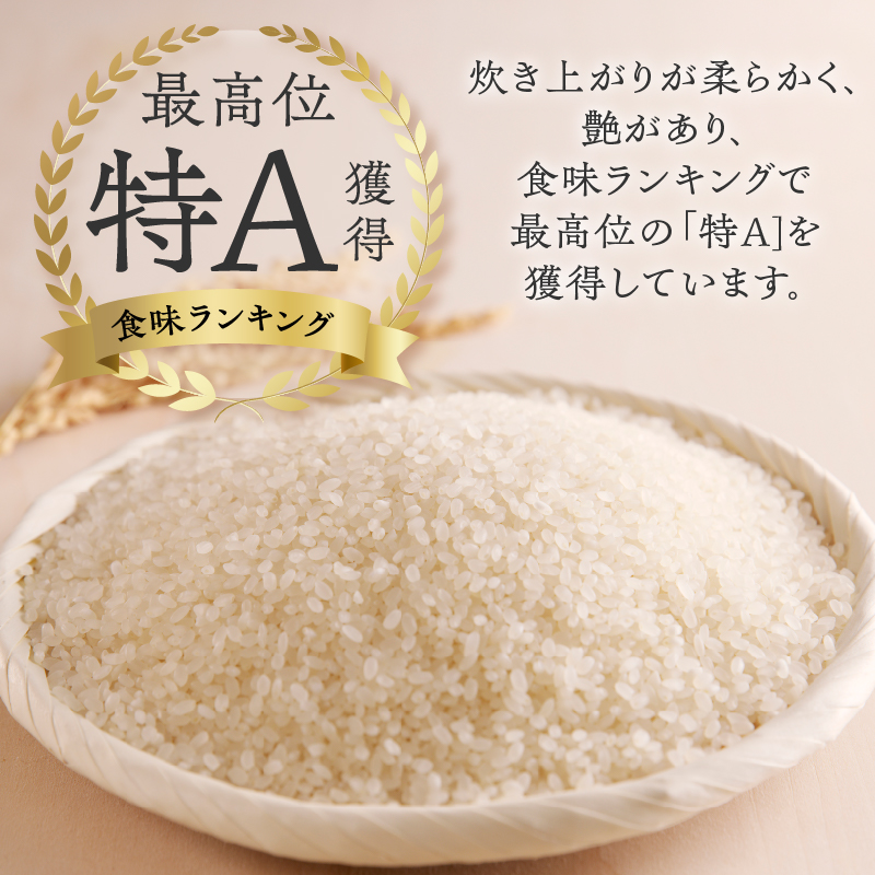 《令和7年産》特別栽培米ゆめぴりか 10kg | 16年連続特A ブランド米 白米 精米 米 お米 こめ 減農薬 単一原料米 ご飯 贈答 ギフト 北海道米 北海道 滝川市
