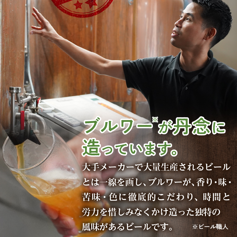 滝川クラフトビール「PIRIKA&IPA」3本 地ビール 生ビール 非熱処理 ご当地 ゆめぴりか使用 お酒 酒 瓶 エールビール ピリカ IPA 家飲み 晩酌 バーベキュー プレゼント 贈り物 贈答 北海道 滝川市