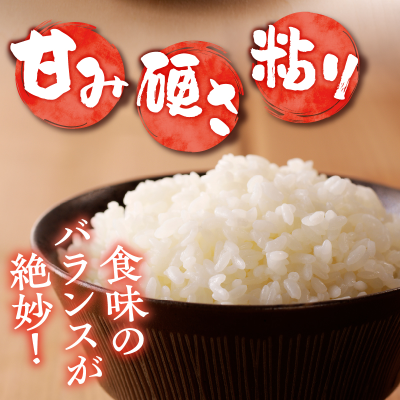 《令和7年産》特別栽培米ゆめぴりか 10kg | 16年連続特A ブランド米 白米 精米 米 お米 こめ 減農薬 単一原料米 ご飯 贈答 ギフト 北海道米 北海道 滝川市