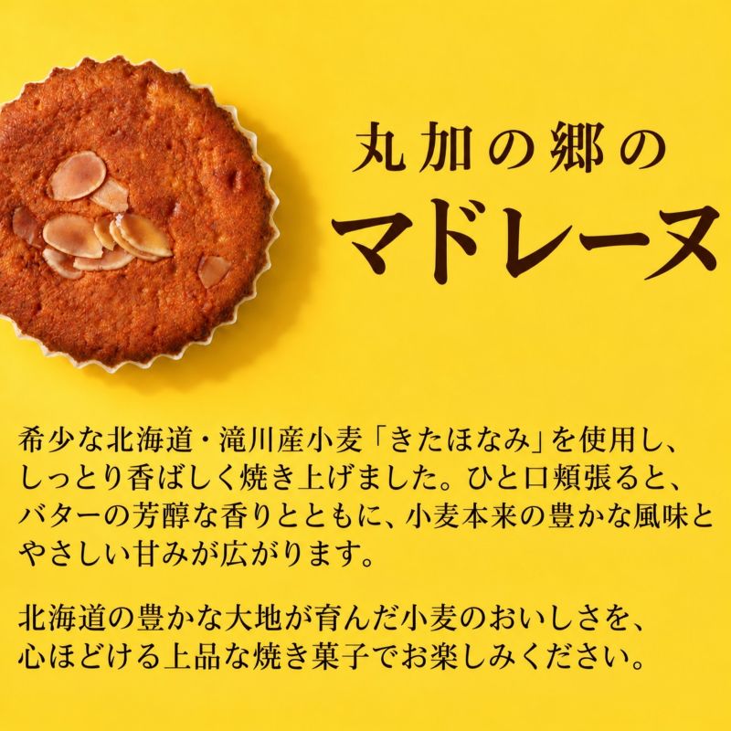 丸加の郷のマドレーヌ 6個入り 個包装｜北海道 滝川市 バター 焼き菓子 スイーツ 洋菓子 お菓子 北海道産小麦 きたほなみ おやつ ティータイム 贈り物 ギフト 手土産 お土産 プレゼント お取り寄せ