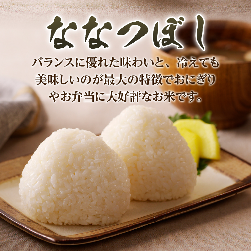《令和8年産新米》12ヵ月連続お届け!ななつぼし10kg 特A 銘柄 ブランド米 北海道 定期便 精米 道産 お弁当 滝川市