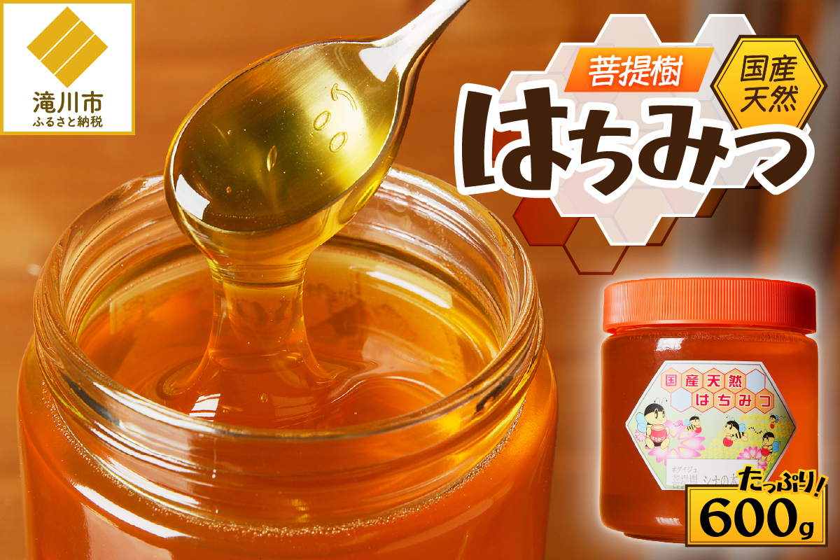 【北海道滝川産】高見養蜂場の純粋はちみつ(菩提樹、シナの木600g×1本)｜国産 日本製 天然 無添加 純粋 非加熱 生はちみつ ミツバチ ハニー 栄養 健康 美容 ビタミン ミネラル 抗生物質 プロポリス アミノ酸 濃厚 ギフト 贈答