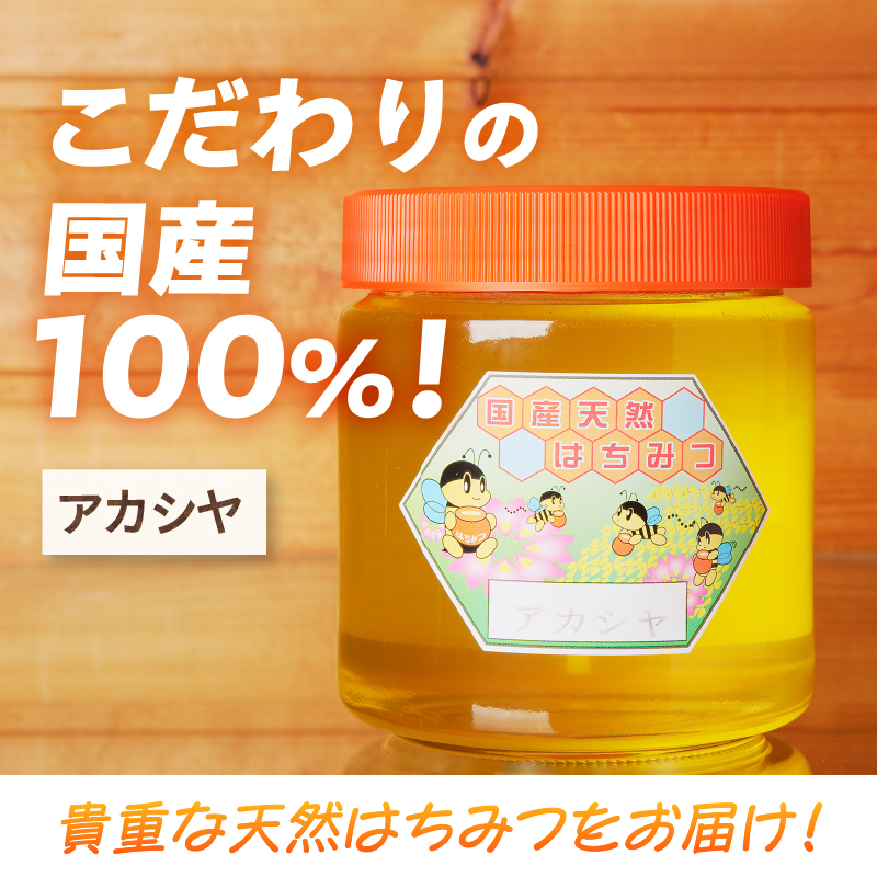 【北海道滝川産】高見養蜂場の純粋はちみつ(アカシヤ600g×1本)｜国産 日本製 天然 無添加 純粋 非加熱 生はちみつ ミツバチ ハニー 栄養 健康 美容 ビタミン ミネラル 抗生物質 プロポリス アミノ酸 濃厚 ギフト 贈答