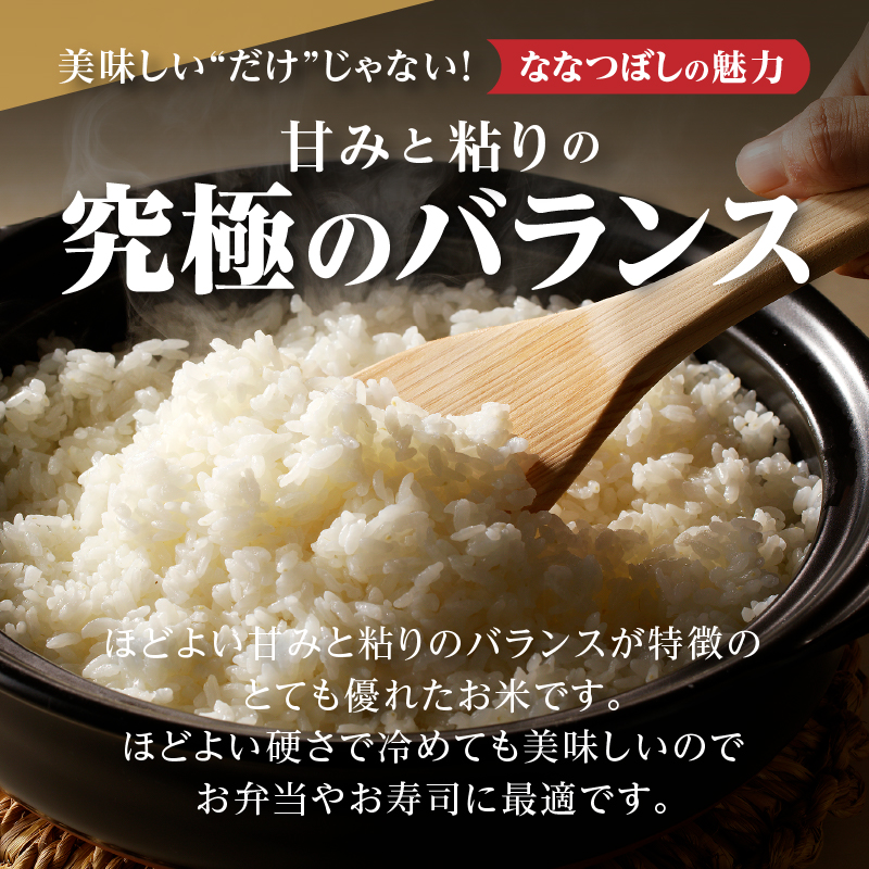 特A 北海道滝川産 ななつぼし 無洗米 5kg 3ヵ月定期便[R8年産]お米マイスター 新米 単一米 産地限定米 ブランド米 北海道米 北海道産 白米 精米 米 こめ お米 ご飯 おにぎり 道産 送料無料 むせんまい 限定 贈答