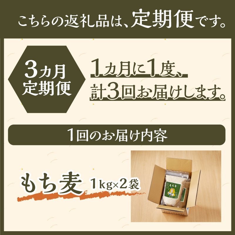 【豊富な食物繊維】もち麦3ヶ月連続お届け-