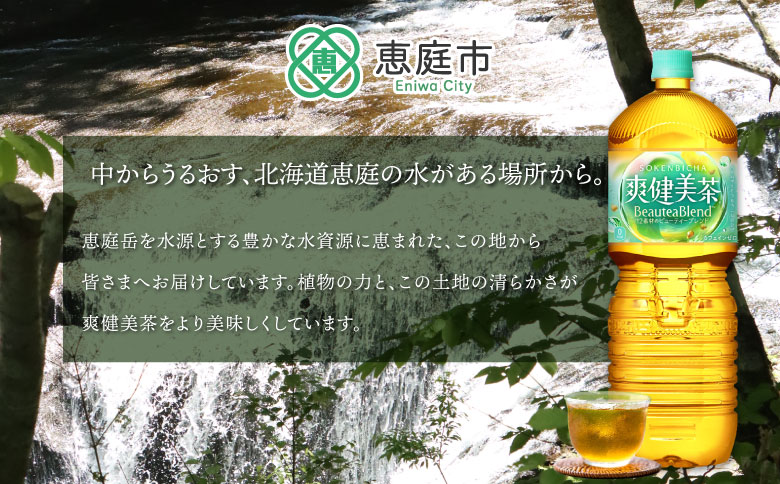 『定期便：全5回』爽健美茶2L×6本【38002102】
