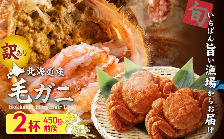 【訳あり品】【北海道産】『冷凍』毛ガニ450g前後×2杯【52000402】