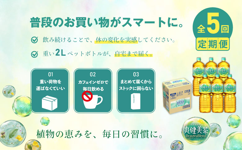 『定期便：全5回』爽健美茶2L×6本【38002102】