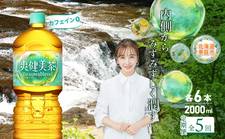 『定期便：全5回』爽健美茶2L×6本【38002102】