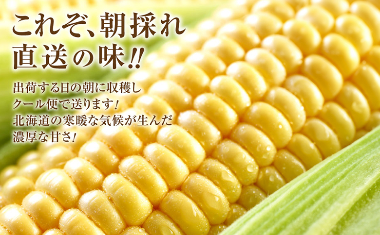 【北海道恵庭市産】朝どりスイートコーン×20本 北海道産 とうもろこし ふるさと納税 北海道 恵庭市【31000103】