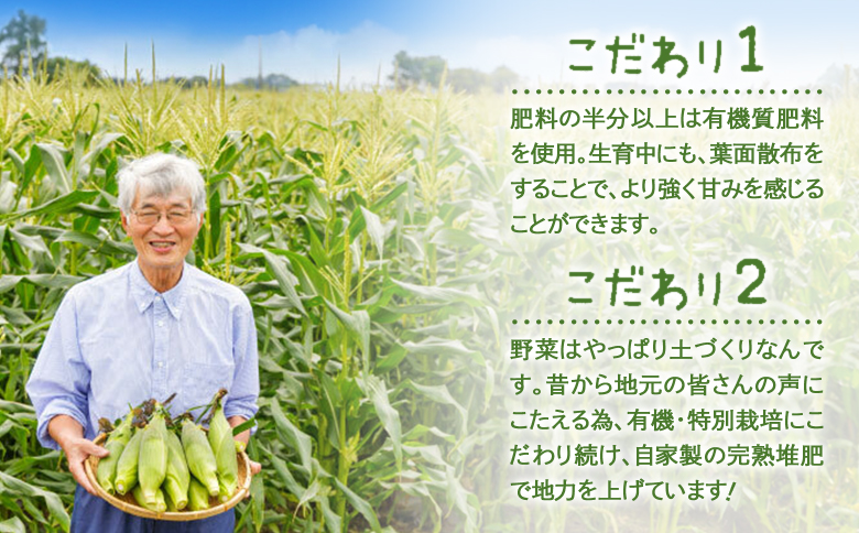 【北海道恵庭市産】朝どりスイートコーン×20本 北海道産 とうもろこし ふるさと納税 北海道 恵庭市【31000103】