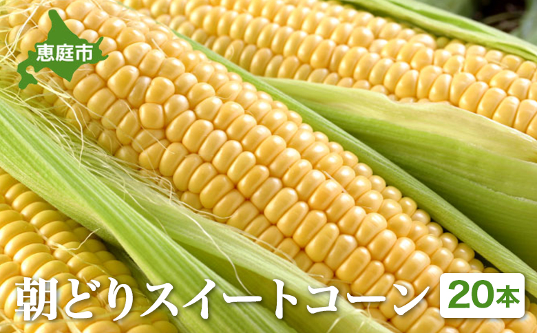 【北海道恵庭市産】朝どりスイートコーン×20本 北海道産 とうもろこし ふるさと納税 北海道 恵庭市【31000103】
