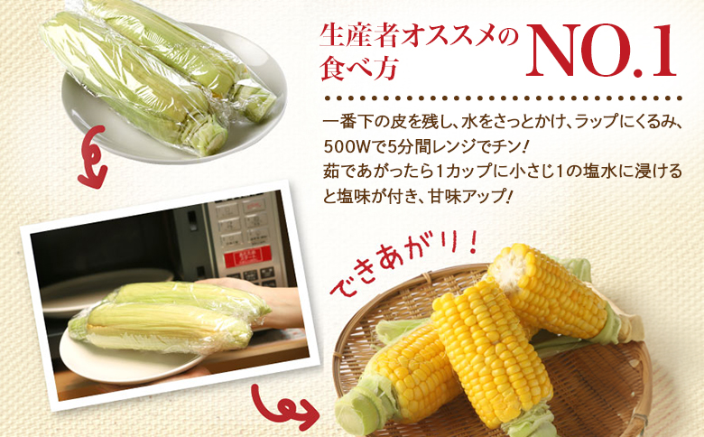 【北海道恵庭市産】朝どりスイートコーン×20本 北海道産 とうもろこし ふるさと納税 北海道 恵庭市【31000103】