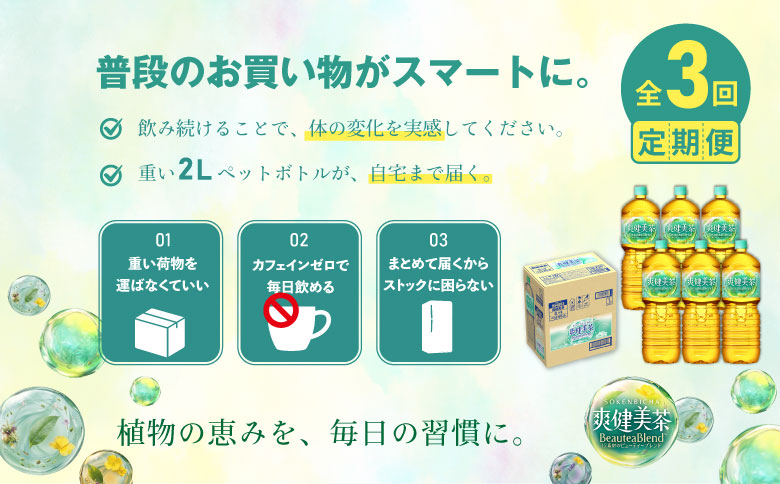 『定期便：全3回』爽健美茶2000mlPET×6本【38000802】