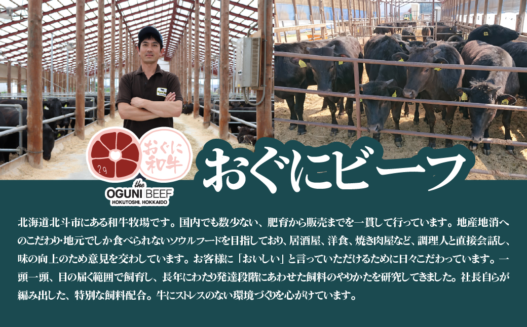 北海道産 黒毛和牛 おぐにビーフ 牧場直送  和牛100％ ハンバーグ180g×2と和牛ソーセージ5本入りのセット HOKQ007