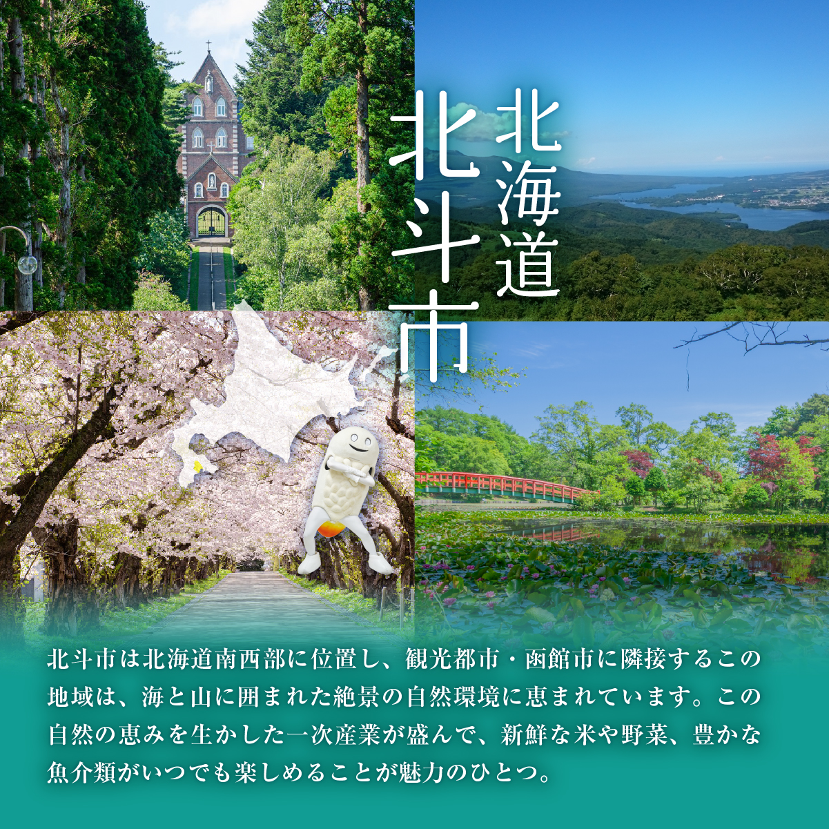 観光タクシープラン（きじひき高原パノラマ展望台コース） HOKAP002