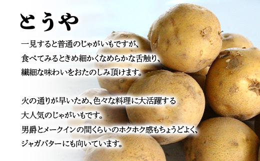 【訳あり】北海道森町産 じゃがいも福袋20kg （2026年8月上旬～12月中旬まで順次お届け） 野菜 ジャガイモ じゃがいも きたあかり だんしゃく 男爵いも とうや メークイン ポテト 北海道 セット 詰め合わせ 福袋 mr1-0145
