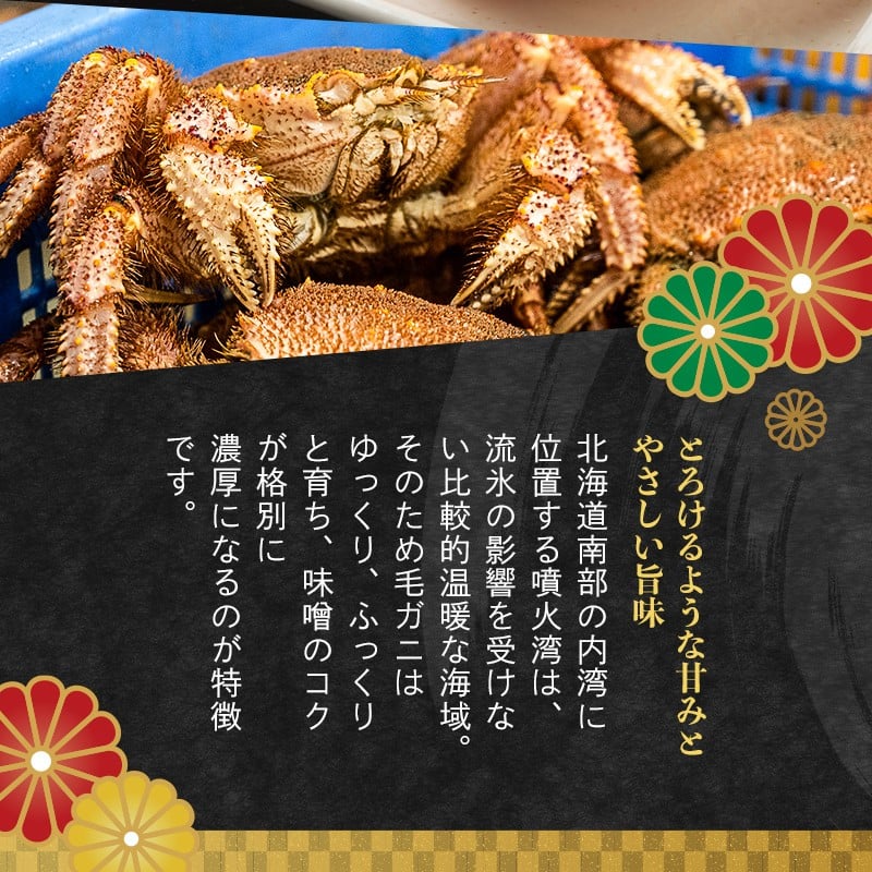 【訳あり】北海道・噴火湾産冷凍ボイル毛ガニ約350g前後×5尾 ＜海鮮問屋　株式会社　瑞宝＞ かに カニ 蟹 ガニ がに 森町 ふるさと納税 北海道 毛蟹 毛かに 毛ガニ 毛カニ mr1-1456