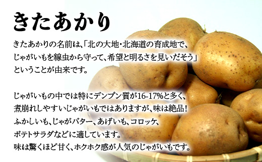 【訳あり】北海道森町産 じゃがいも福袋20kg （2026年8月上旬～12月中旬まで順次お届け） 野菜 ジャガイモ じゃがいも きたあかり だんしゃく 男爵いも とうや メークイン ポテト 北海道 セット 詰め合わせ 福袋 mr1-0145