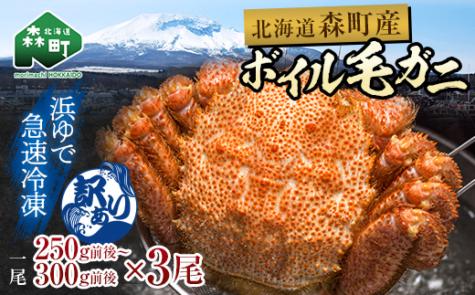 【訳あり】北海道・噴火湾産冷凍ボイル毛ガニ約300g前後×3尾 新物 2025年6月～7月水揚げ 毛ガニ 毛カニ 蟹 かに かにみそ 海産物 海鮮 森町 mr1-1450