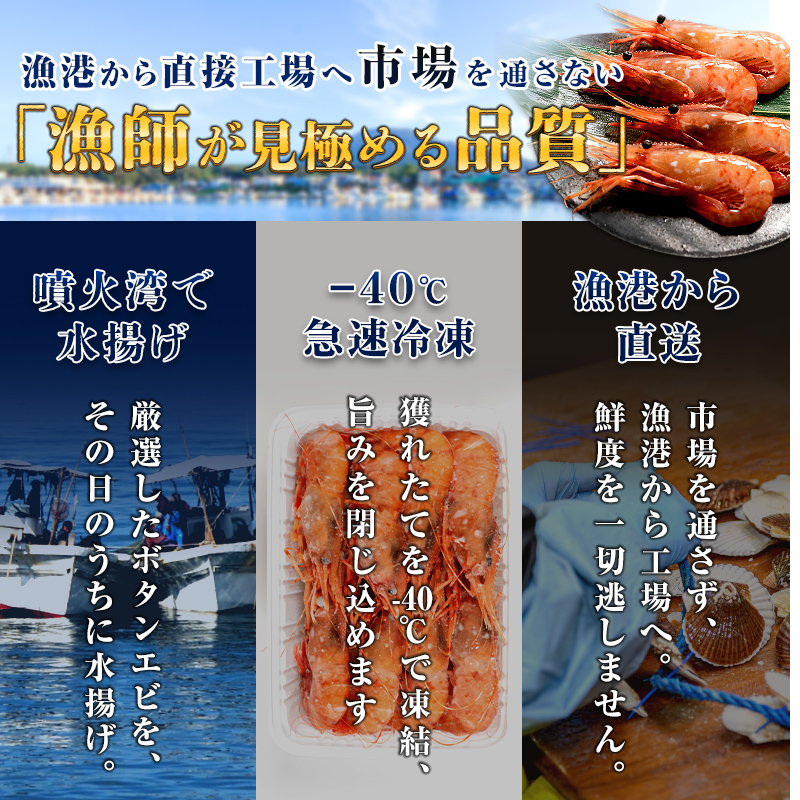【新物】冷凍ボタンエビ（オス）1kg（500g×2） ＜海鮮問屋　株式会社　瑞宝＞ えび エビ 海老 ぼたんえび ぼたん海老 ボタン海老 ボタンエビ ぼたんエビ 牡丹海老 北海道 森町 ふるさと納税 北海道 mr1-1429