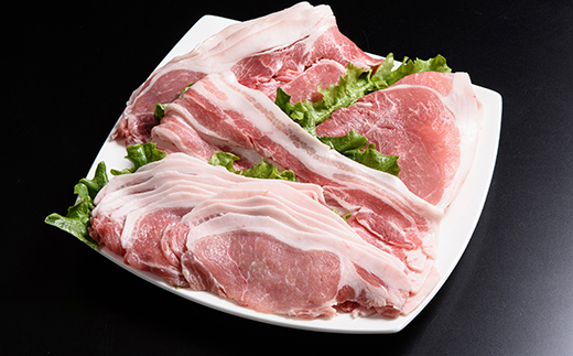 北海道産熟成豚肉セット約2.6kg＜(株)ヤマイチ佐々木精肉畜産＞ 森町 豚肉 ロース バラ 焼肉 セット 肩 モモ ふるさと納税 北海道 mr1-1486
