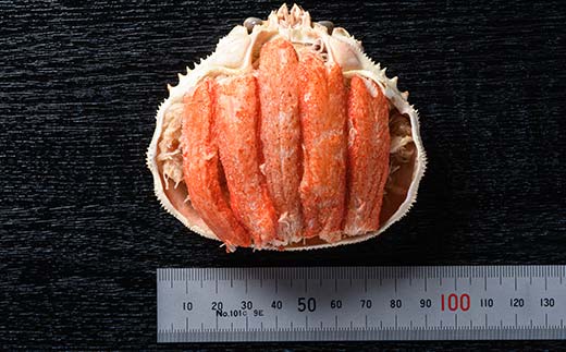 北海道産 オオズワイガニ甲羅盛（約80-90g）×3個※かにみそ無し＜道産ネットミツハシ＞ かに カニ ズワイ蟹 北海道 森町 ふるさと納税 mr1-1501