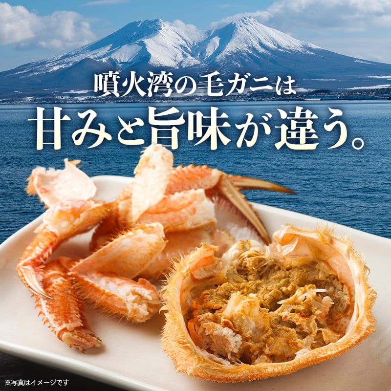 【訳あり】北海道・噴火湾産冷凍ボイル毛ガニ約350g前後×3尾 ＜海鮮問屋　株式会社　瑞宝＞ かに カニ 蟹 ガニ がに 森町 ふるさと納税 北海道 毛蟹 毛かに 毛ガニ 毛カニ mr1-1454