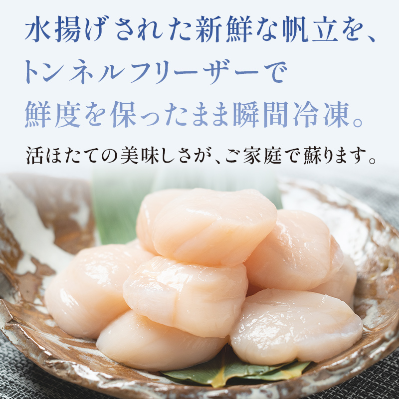 北海道産冷凍ホタテ貝柱大（500g×2パック）「1kg」 ＜ワイエスフーズ＞ 小分け チャック付き 海鮮丼 森町 魚貝類 帆立 ホタテ ほたて 魚介類 貝 ふるさと納税 北海道 訳あり mr1-1493