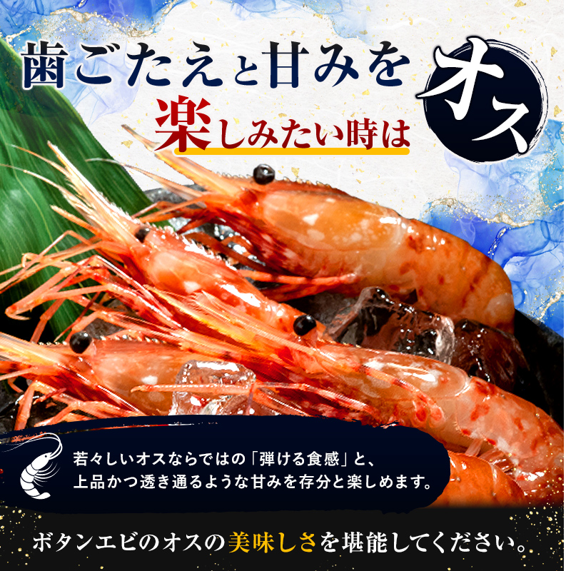 【新物】冷凍ボタンエビ（オス）1kg（500g×2） ＜海鮮問屋　株式会社　瑞宝＞ えび エビ 海老 ぼたんえび ぼたん海老 ボタン海老 ボタンエビ ぼたんエビ 牡丹海老 北海道 森町 ふるさと納税 北海道 mr1-1429