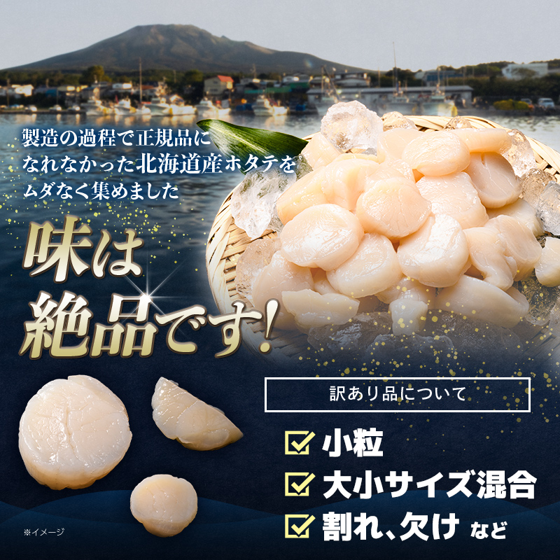 【訳あり】北海道産 ホタテ 1kg 貝柱 小分け フレーク 刺身用 冷凍＜海鮮問屋　株式会社　瑞宝＞ 小分け 森町 ほたて 帆立 ホタテ 海産物 魚貝類 おつまみ 海鮮丼 魚介類 貝柱 ふるさと納税 北海道 訳あり mr1-0857