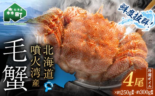 【訳あり】北海道・噴火湾産冷凍ボイル毛ガニ約300g前後×4尾 新物 2025年6月～7月水揚げ 毛ガニ 毛カニ 蟹 かに かにみそ 海産物 海鮮 森町 mr1-1451
